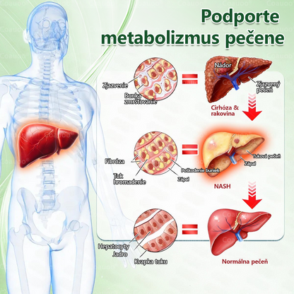 🔥 𝐂𝐨𝐚𝐮𝐨𝐨® Moringa × Berberín × AMPK 10-v-1 Metabolická podpora – nanomikroihlová náplasť (Stačí raz denne, viditeľné výsledky už za 7 dní)  ✅ Na obezitu, ochabnutú pokožku, cukrovku, spánkové apnoe, problémy s kĺbmi a mnohé ďalšie ťažkosti 🔥